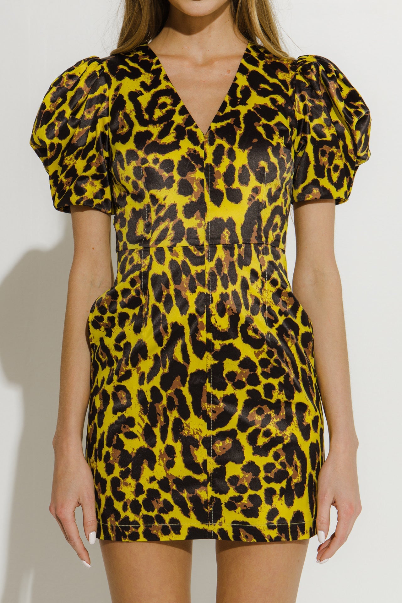 Leopard Print Mini Dress